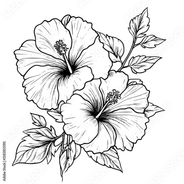 Fototapeta Hibiscus coloring book vector design, Hibiscus illustration art