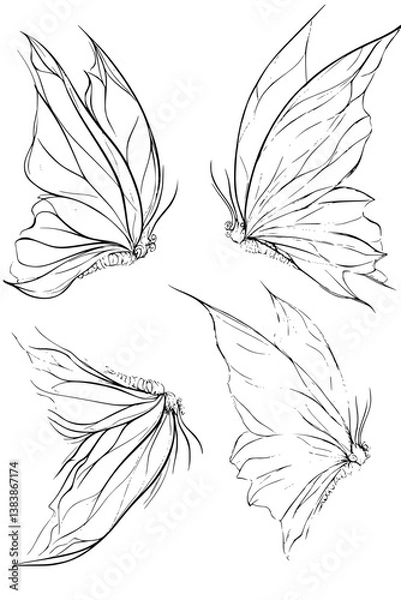 Fototapeta Collection of Fairy wings coloring book vector designs, Fairy wings vector image