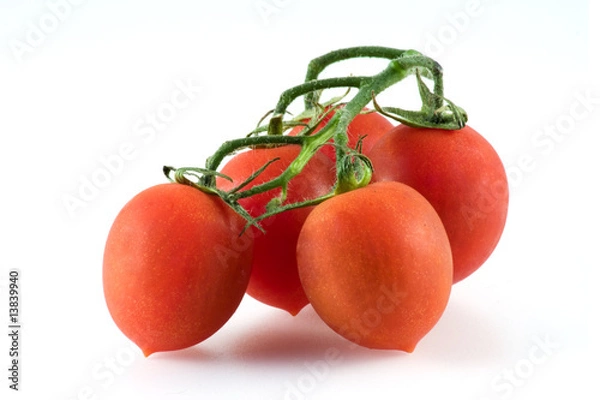 Obraz pomodorini