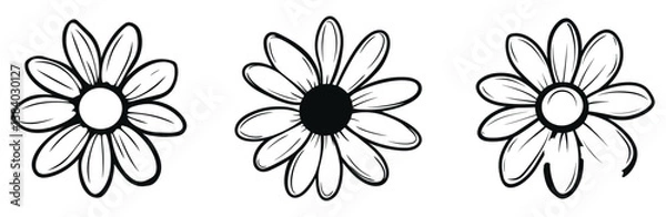 Fototapeta Three Black And White Daisy Flower Line Art Illustrations On White Background