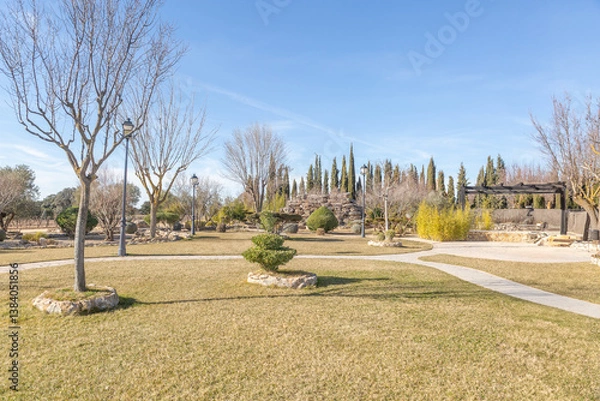 Fototapeta A park with a path and trees. The trees are bare and the sky is blue
