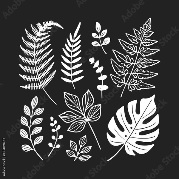 Obraz Botanical Leaves, Tropical Leaves Set, Leaves Vector, Monstera Leaf, Spring Leaves, Floral Vector Set, Garden Leaves, Autumn Leaves, Vector Illustration Background