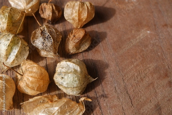 Obraz A collection of dried physalis flowers lying scattered on a rustic wooden surface, illuminated gently by natural light. The dried texture and earthy hues create a warm and natural aesthetic.
