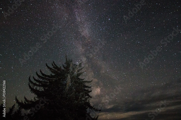 Obraz Gustavus Milky Way