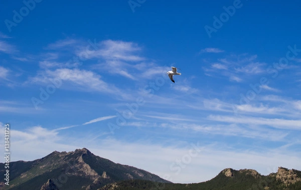 Fototapeta Seagull in blue sky mountain clouds