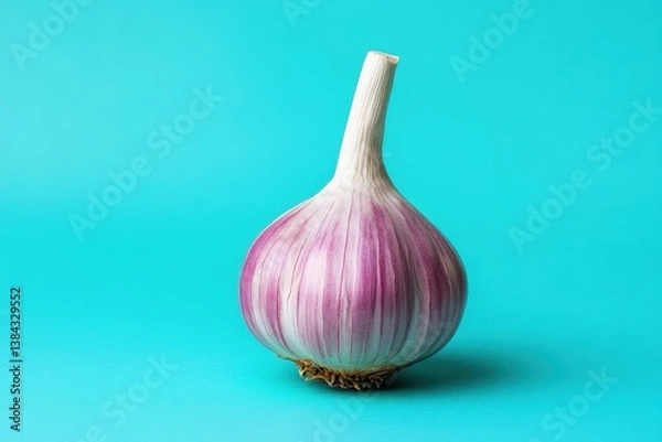Fototapeta A single bulb of garlic appears against a bright turquoise background