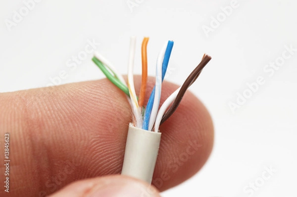 Obraz Network cable