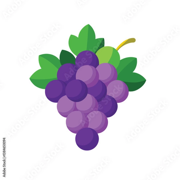 Fototapeta ​Grape Vector Illustration for Creative Projects
