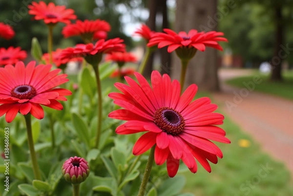 Fototapeta red flowers in the grass on a sunny day