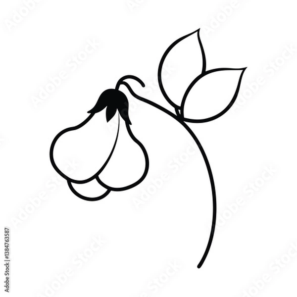 Obraz pear with leaf