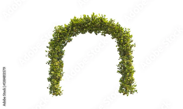 Fototapeta Green arc lantana png alpha channel front view.
