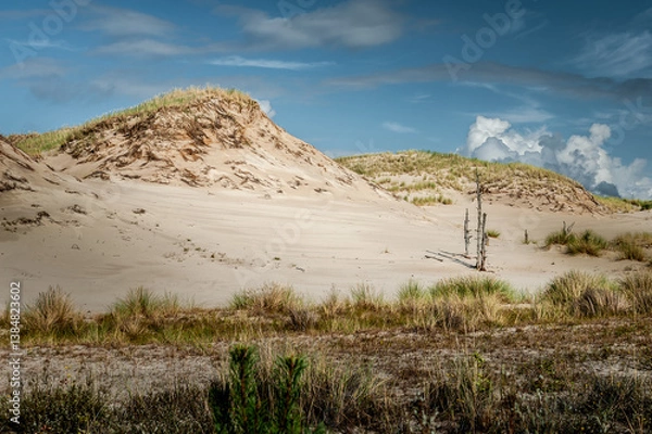 Fototapeta The famous, unique moving dunes in the Slovinski National Park, forming a desert-like landscape. Ever-living, they constantly move under the influence of the wind.