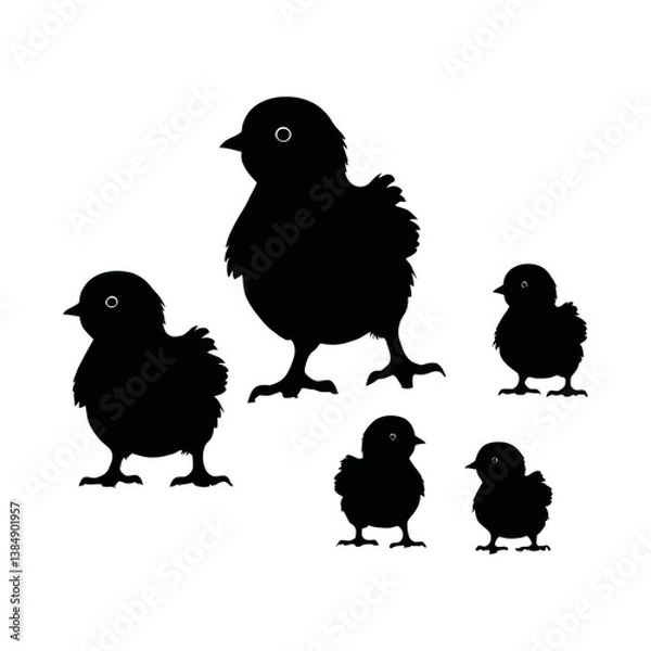 Obraz A black and white vector silhouette of a hen spreading her wings while baby chicks huddle close on a white background