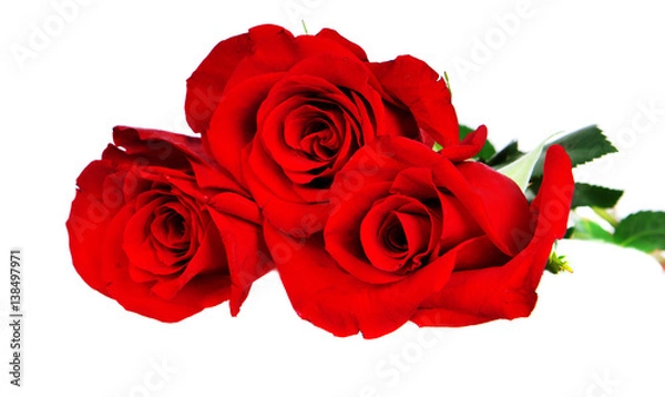 Fototapeta Three red roses.
