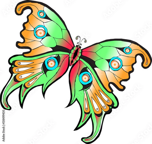 Obraz Векторное изображение разноцветная тропическая бабочка изолированная на белом фоне