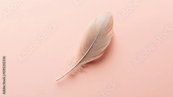 Fototapeta Minimal top-view feather on pale salmon background, sharp and clean lines