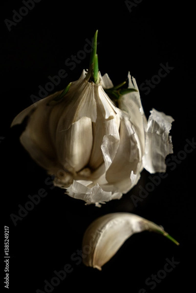 Fototapeta White garlic bulbs and cloves on a dark background