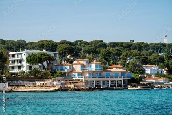 Obraz Cap D antibes beach and sea with pine trees and villas in France