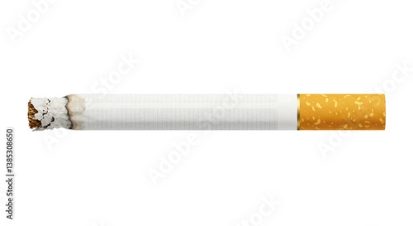 Fototapeta Isolated Burning Cigarette with Ash and Smoke