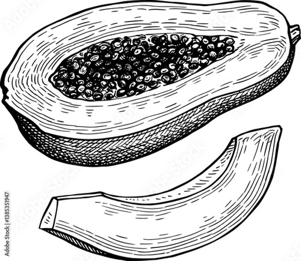 Obraz Halved papaya and slice ink sketch