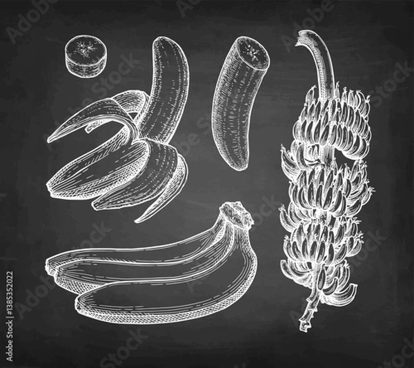 Obraz Bananas chalk sketch