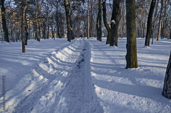 Obraz Winter snow garden in Sofia park