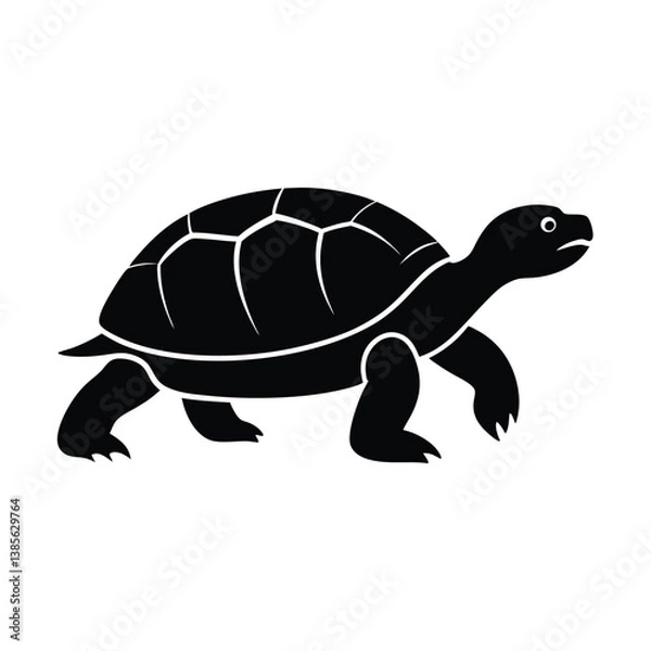 Obraz turtle vector illustration
