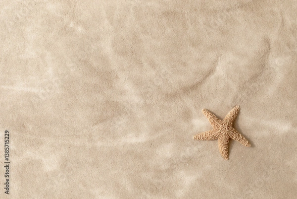 Fototapeta Sandy beach with beige starfish as natural textured background for summer travel and vacation design