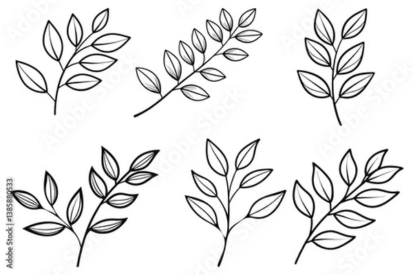 Fototapeta minimalist botanical line drawing