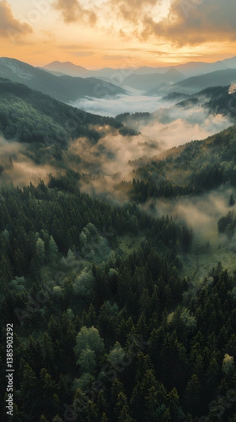 Fototapeta Misty Morning Forest Landscape at Sunset - Nature's Tranquil, Scenic View of Mountains and Clouds in a Serene, Rural Wilderness Panorama