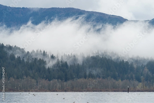 Obraz Columbia River Gorge landscape
