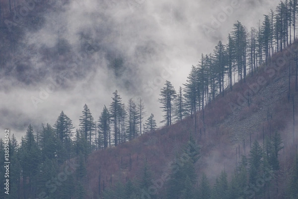 Obraz Columbia River Gorge landscape