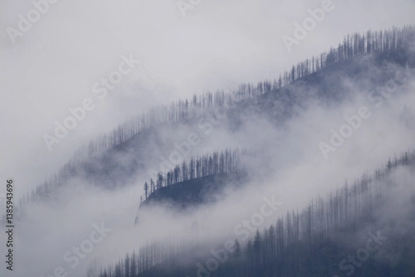 Obraz Columbia River Gorge landscape