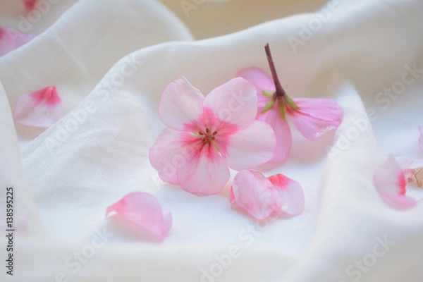 Fototapeta spring mood