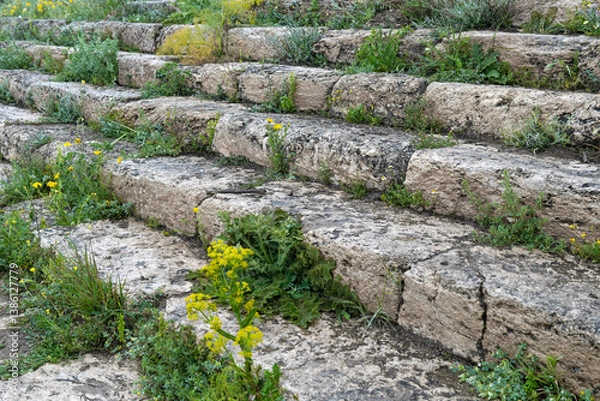 Fototapeta Steps of an ancient temple with grass growing between the steps close up