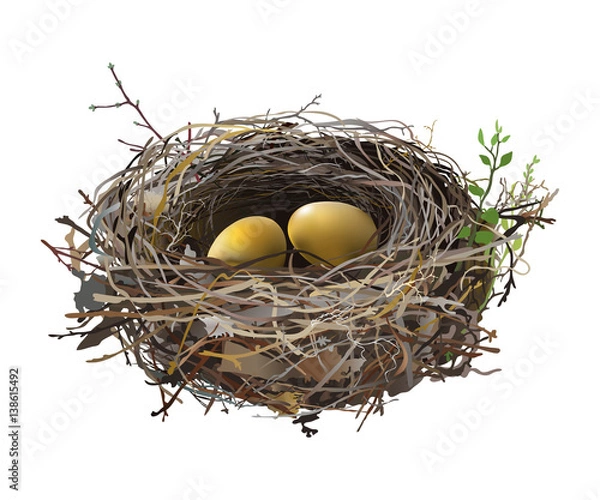 Fototapeta Gold eggs in Bird's Nest.
Hand drawn vector illustration of a nest with two golden eggs, surrounded by green shoots, on transparent background.
