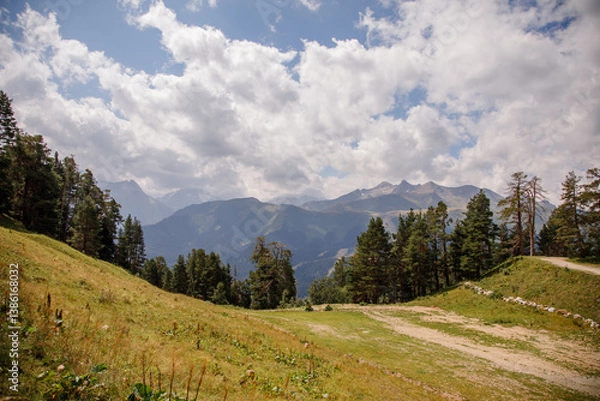 Obraz Mountain meadow under blue sky with clouds and pine trees
