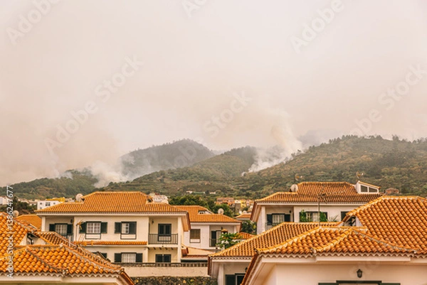 Fototapeta A row of houses with red roofs and white trim