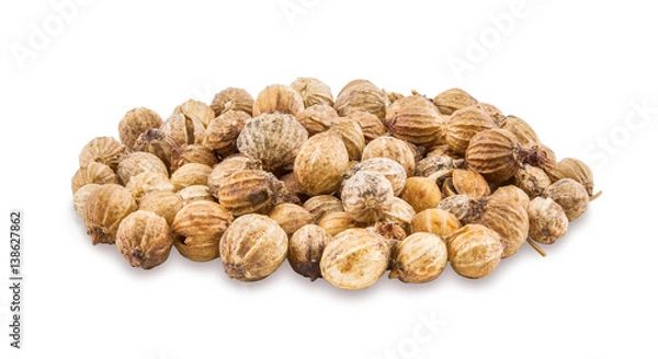Obraz Coriander seeds on a white background.