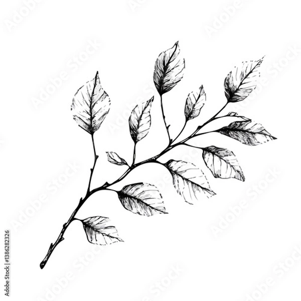 Fototapeta Birch branch minimalist flat illustration, featuring a clean design isolated on a white background.

