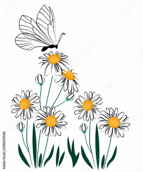Fototapeta flowering plants with butterflies 6