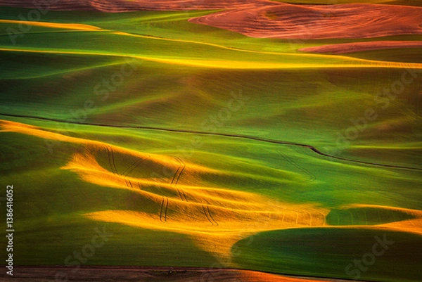 Fototapeta Warm light on the rolling hills of the Palouse