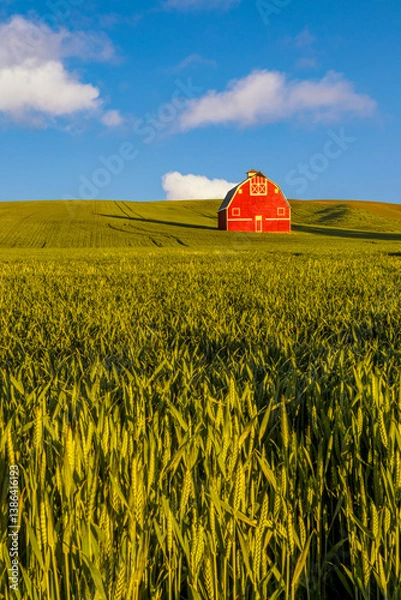 Fototapeta Red barn in the Palouse of eastern Washington state