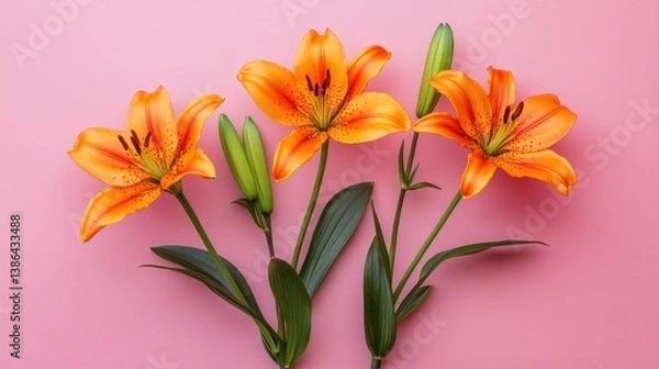 Obraz Orange lilies and green stems layered on muted pink background in flat lay composition