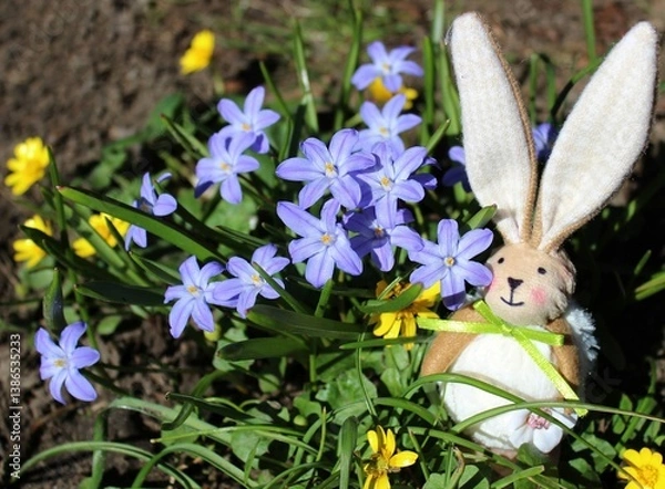 Obraz Easter bunny on a lawn of purple Chionodox flowers. Beautiful natural background. A bright spring landscape. The awakening of nature. Primroses. Catholic Easter. European traditions. A holy holiday. 