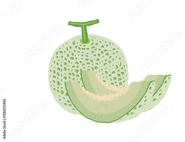 Obraz 丸いメロンとカットしたメロンのイラスト