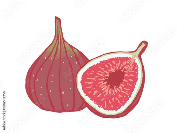 Obraz イチジクのイラスト