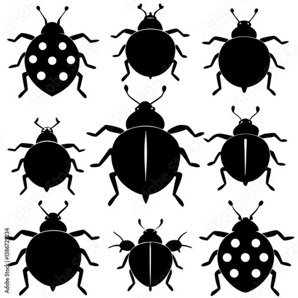 Obraz set of insects