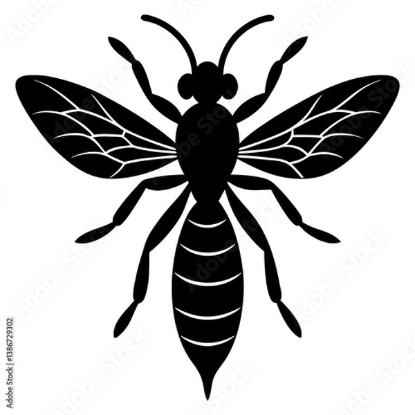 Obraz dragonfly vector illustration
