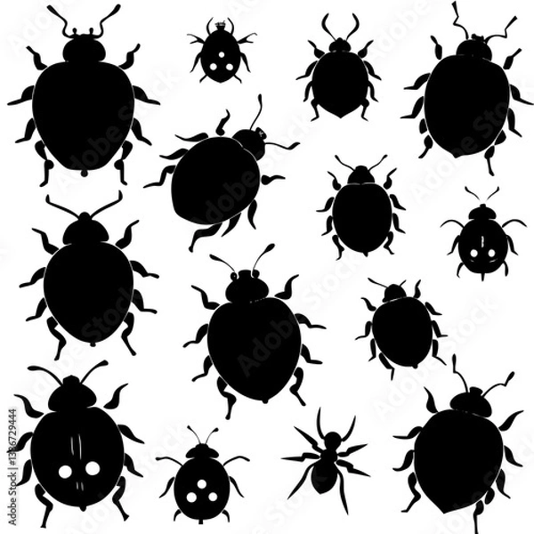 Obraz set of insects